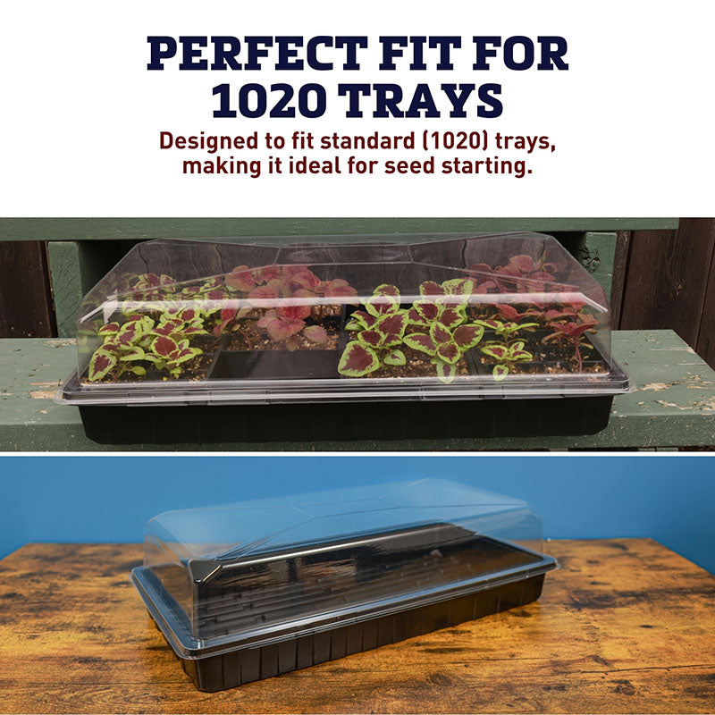 Dome 3.5" Clear Plastic Unvented