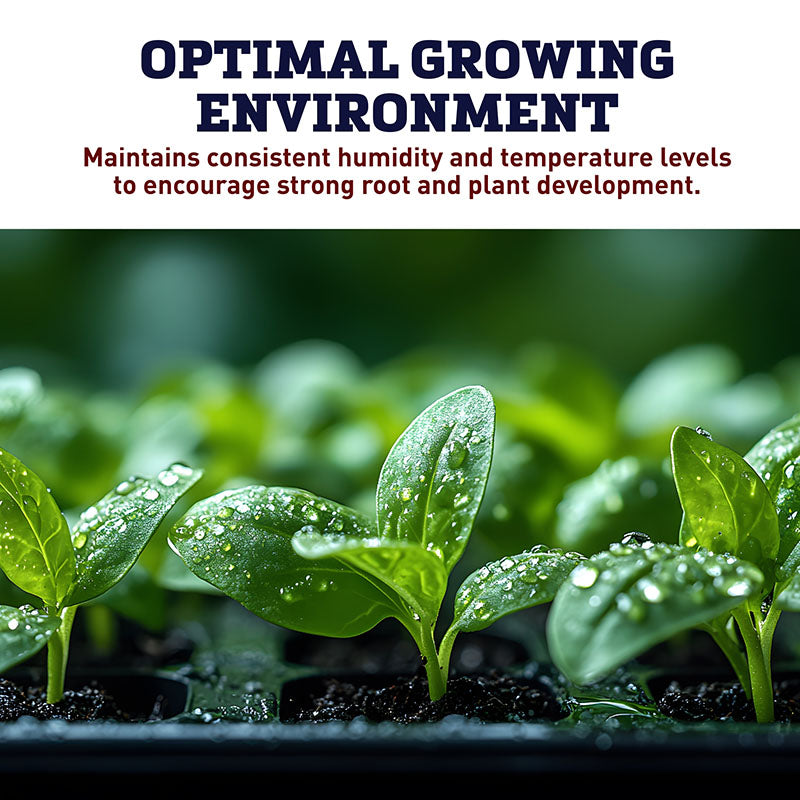 Dome 3.5" Clear Plastic Unvented