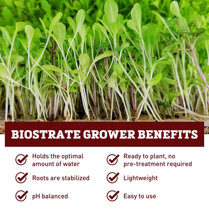 Biostrate 160 Microgreens Kit