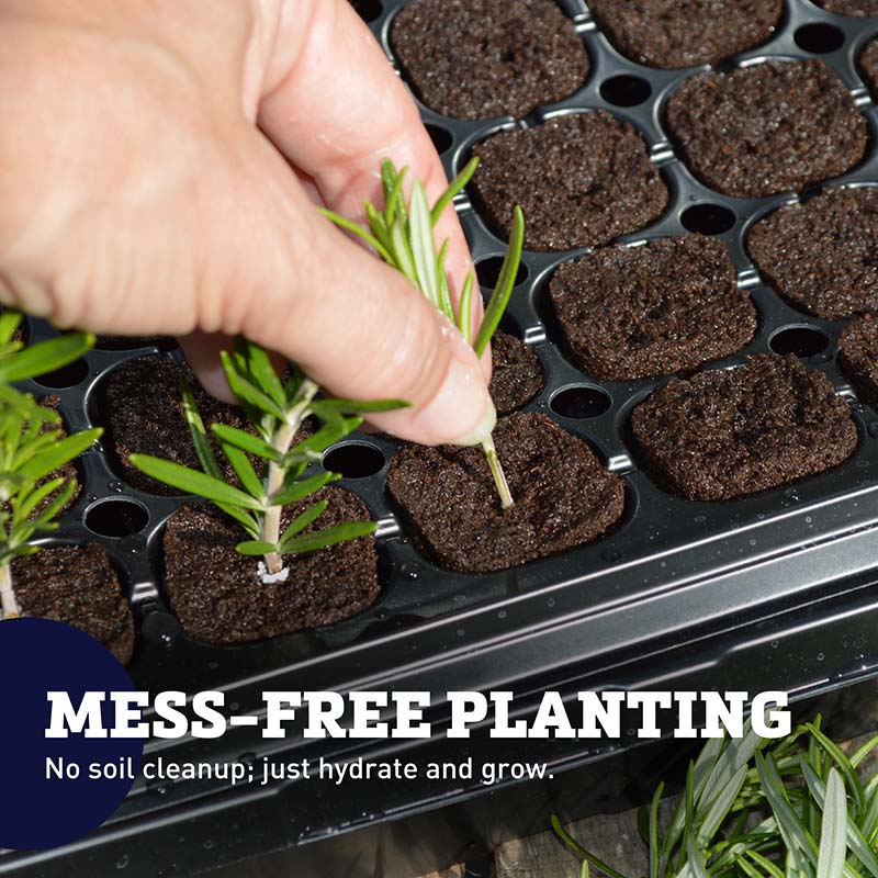 Pop and Grow 23x40 Flexiplug 200 Cell Complete Kit