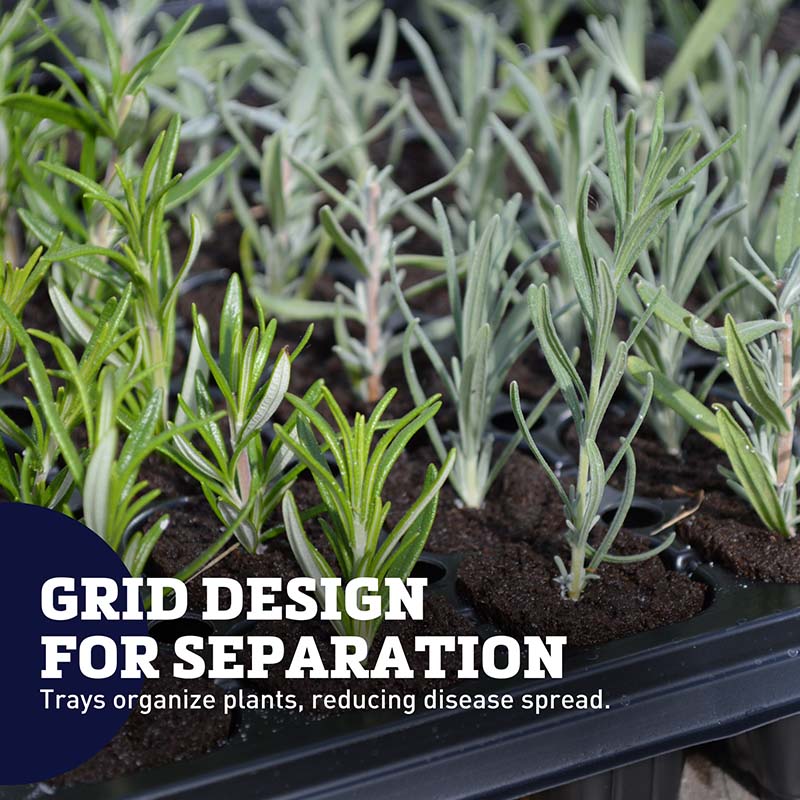 Pop and Grow 23x40 Flexiplug 200 Cell Complete Kit