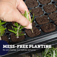 Pop and Grow 135B Flexiplug 72 cell Complete Kit