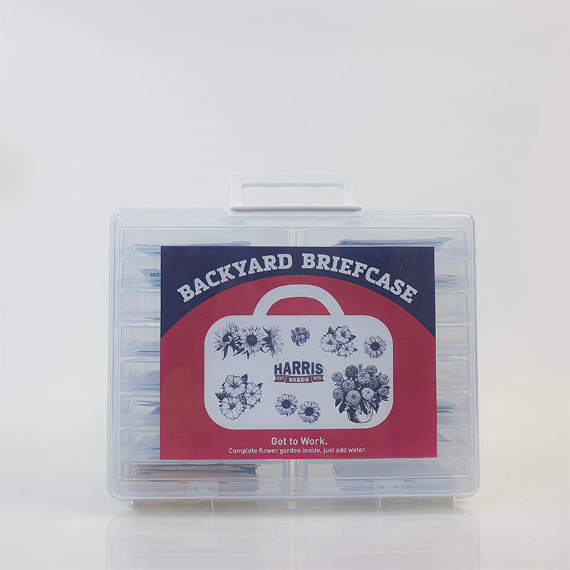 Backyard Briefcase Collection