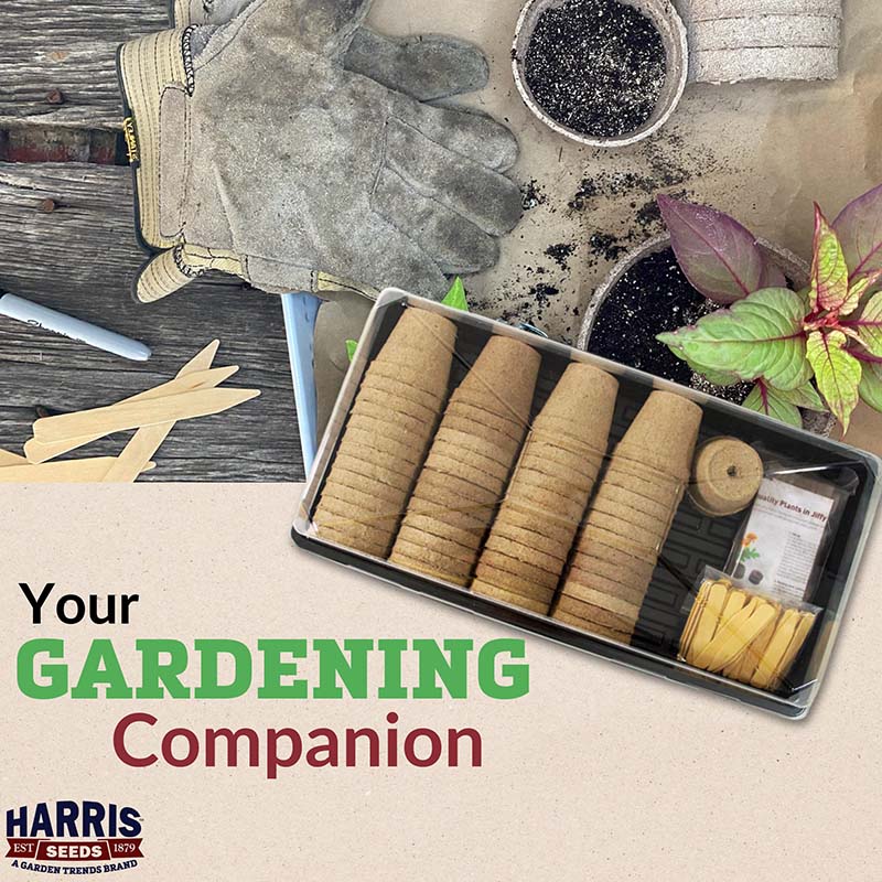 garden seed starting kits Seed Starting Two Stage Combo Kit