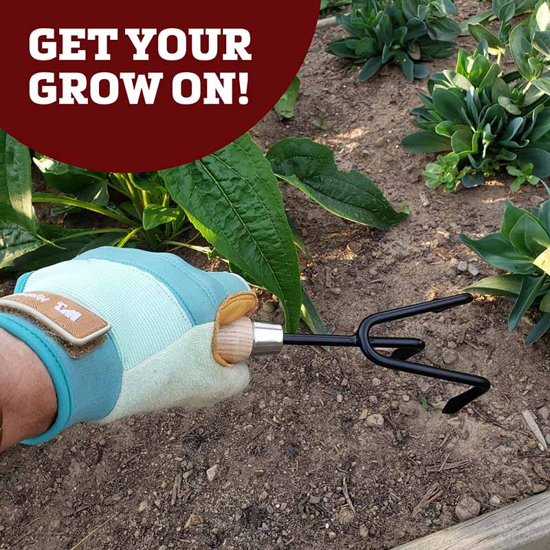 harris garden seeds Harris Seeds 6 Piece Garden Tool Set