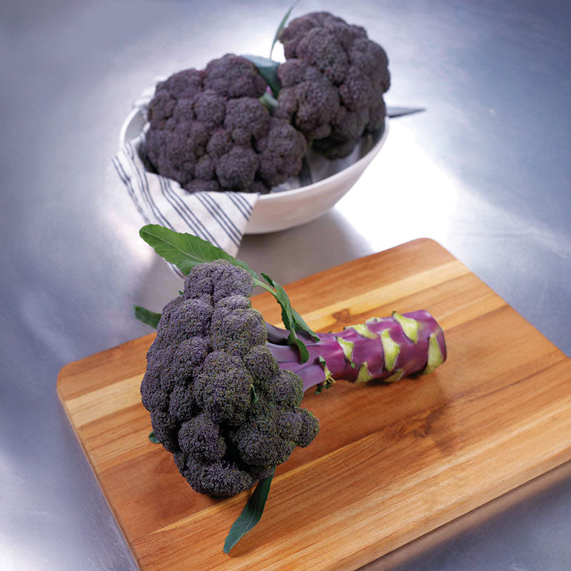 Broccoli Magic Shapoo Broccoli Purple Magic F1 Seed – Harris Seeds