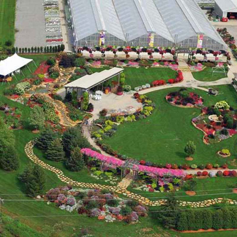 greenhouse flower seeds Harris Seeds' Four Star Greenhouses Program