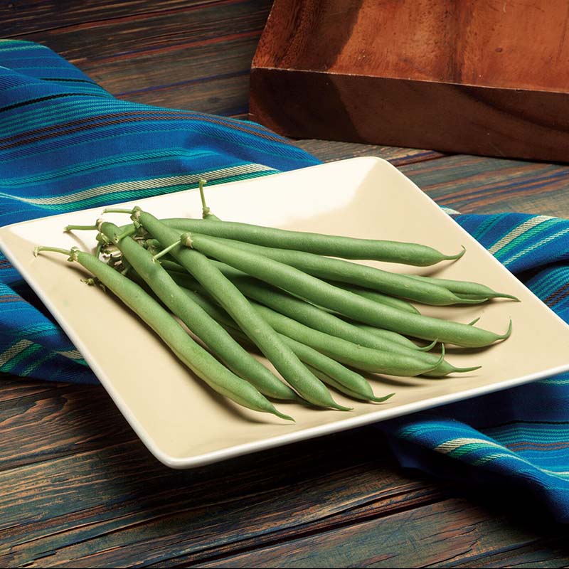 Bean Prevail Standard Treated - 80,000 seeds