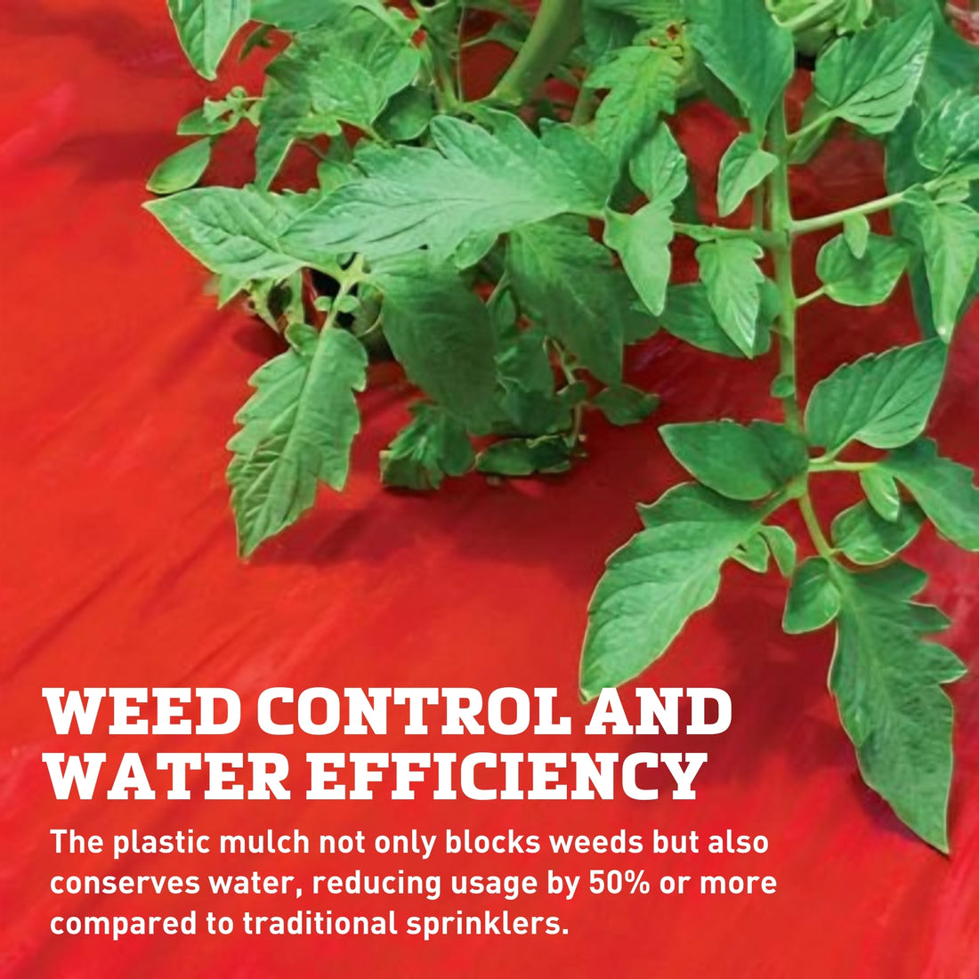 Flora Flow All-In-One Mat SRM Red Kit 8'