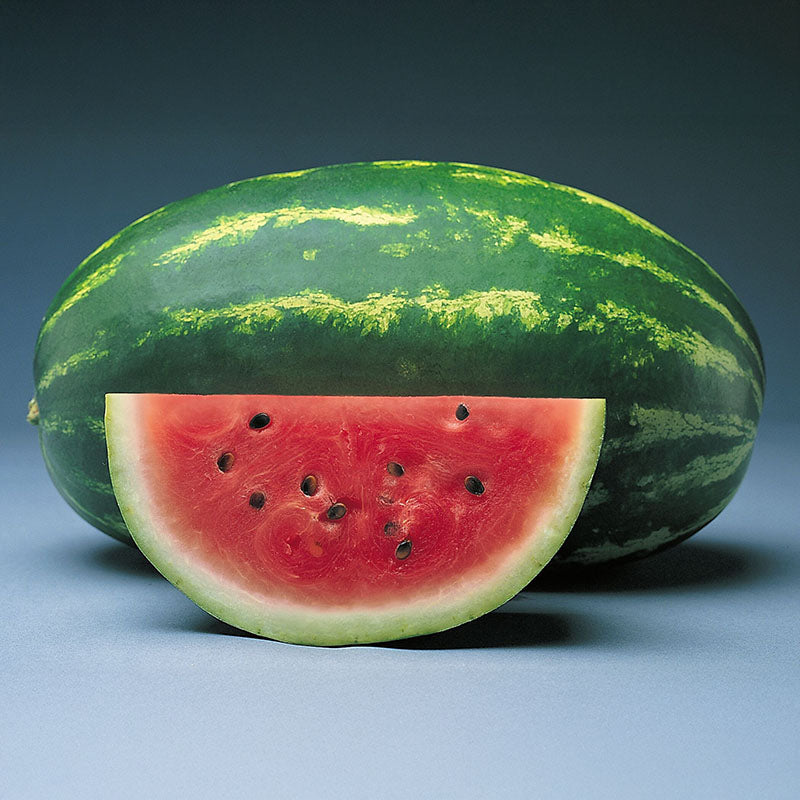 Watermelon Sunsugar Raw Untreated - 5,000 seeds