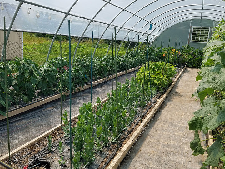 Blog Library – Harris Seeds