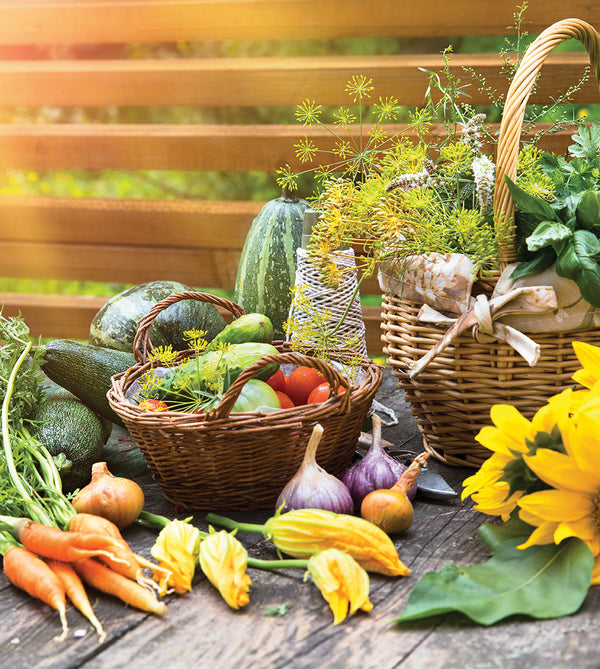 Harris Seeds Vegetable Seeds, Flower Seeds, Plants & Growing Supplies