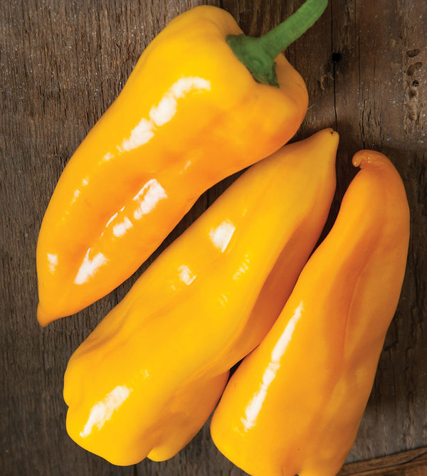 New Vegetables for 2027