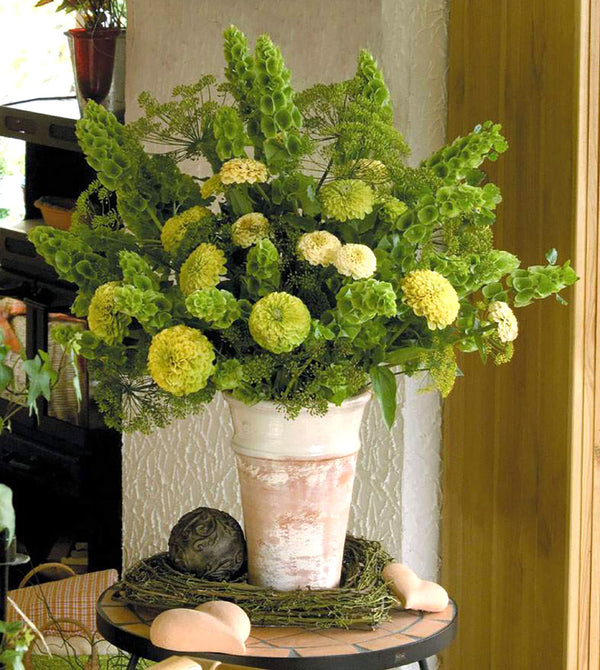 Free Gift with Purchase