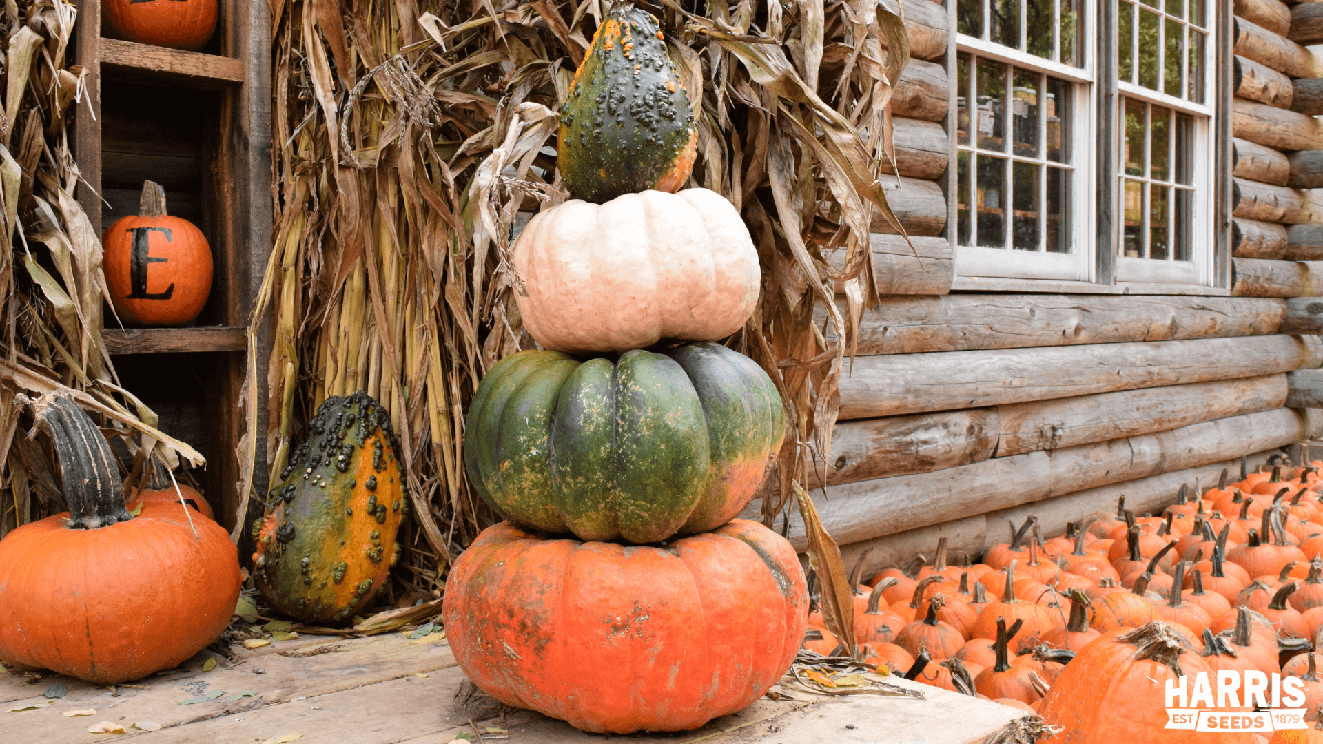 Pots and Containers Page 2 Harris Seeds