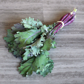 Kale Red Russian Seed