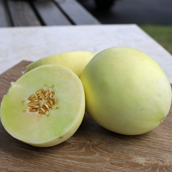 Melon Earli Dew F1 Seed Harris Seeds