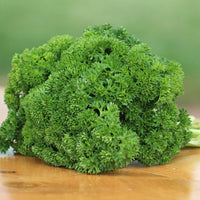 Parsley Banquet Seed