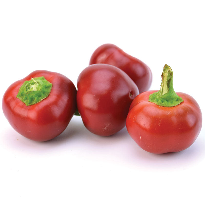 100+ Large Red Cherry Hot Pepper Seeds – 3,000-5,000 Scoville, Fresh
