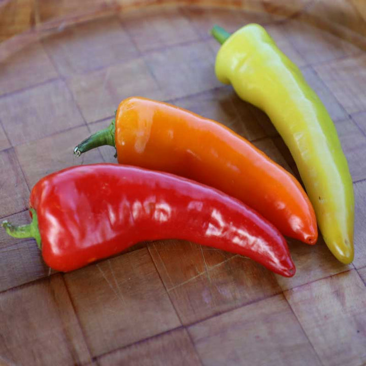 Home Garden Catalog Harris Seeds