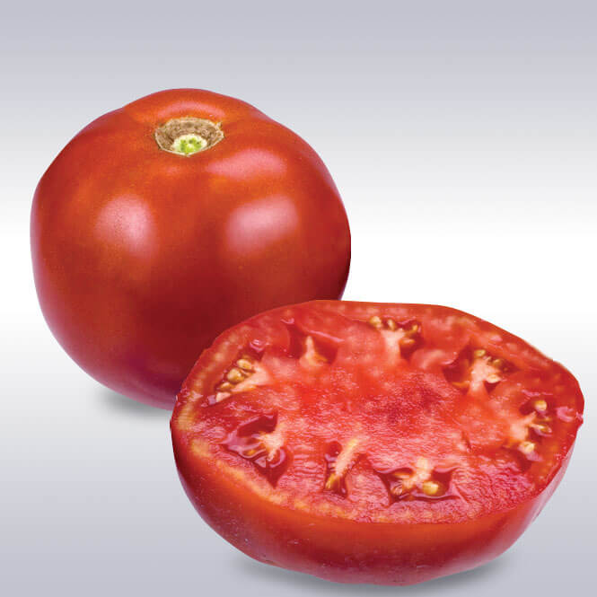 Tomato Moreton Hybrid F1 Seed
