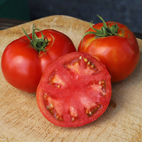 Tomato Big Beef F1 Seed