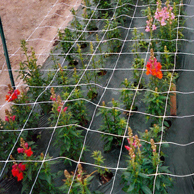 Cut Flower Netting 48" x 3280'