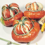 Gourd Turk's Turban Seed