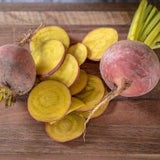 Beet Touchstone Gold Seed