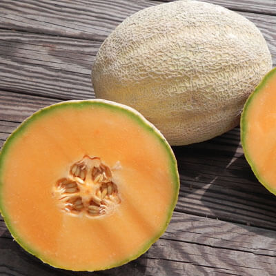 Melon Cleopatra F1 Seed