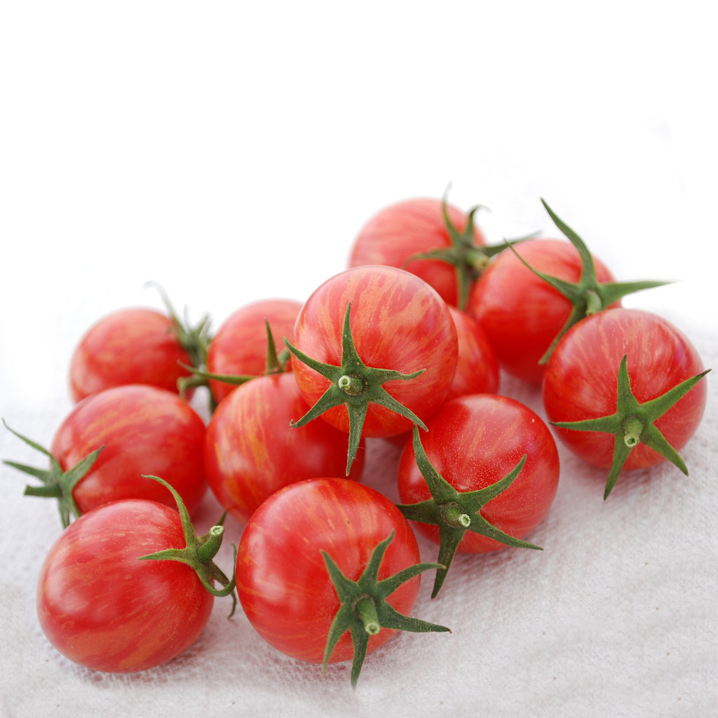 Tomato Artisan&trade; Pink Bumblebee Organic Seed