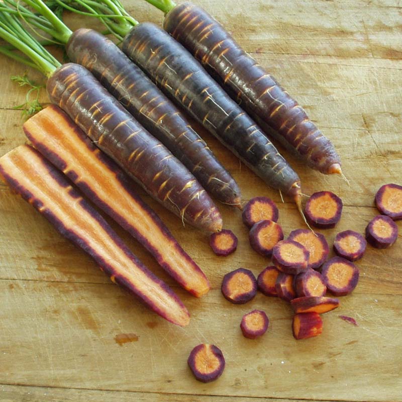 Carrot Purple Haze F1 Seed
