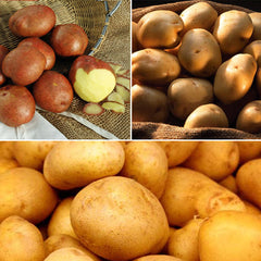 Potato Lovers Collection