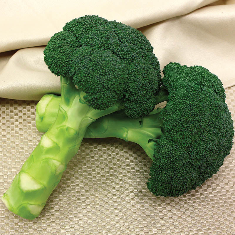 Broccoli Green Magic F1 Seed
