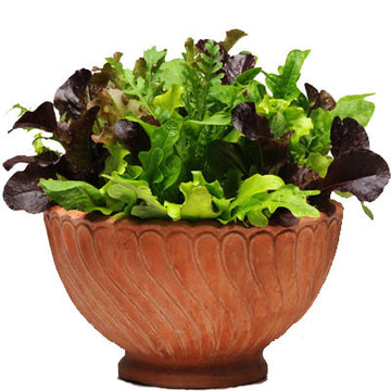 Simply Salad Alfresco Mix Seed
