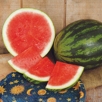 Watermelon Troubadour F1 Seed