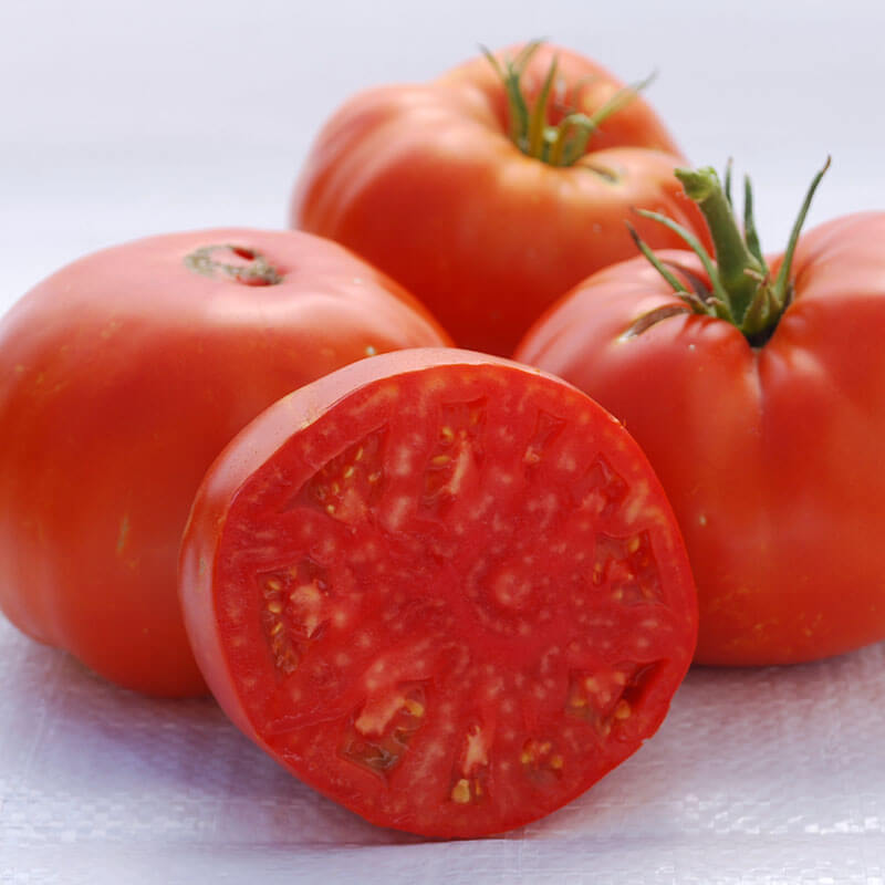 Tomato Brandywine Red Seed