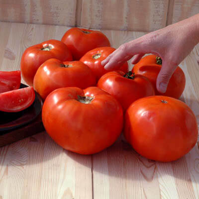 Tomato Scarlet Red F1 Seed