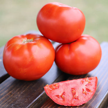 Tomato Red Deuce F1 Live Plants