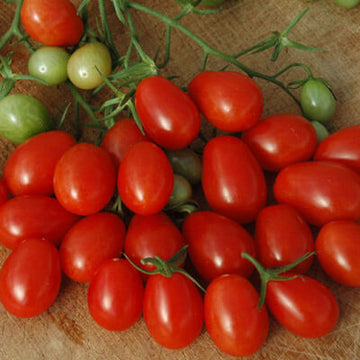 Tomato Red Grape F1 Seed