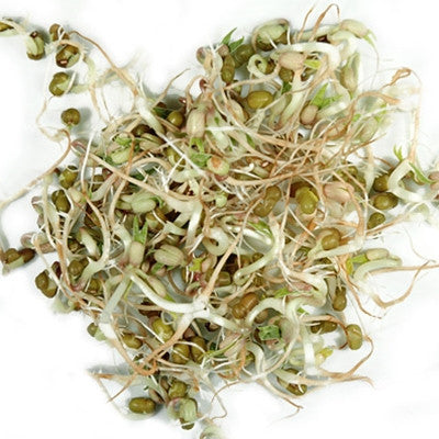 Mung Bean Sprouts Seeds