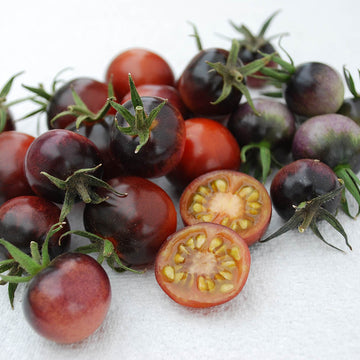 Tomato Indigo™ Blue Berries Organic Seed