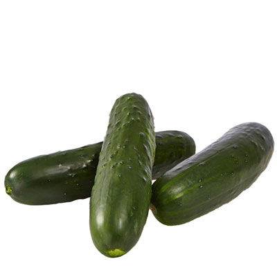 Cucumber Bristol F1 Seed
