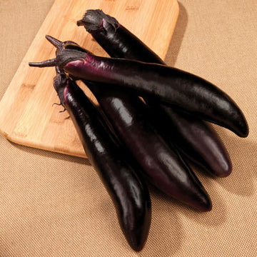 Eggplant Shikou F1 Seed