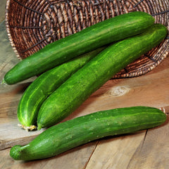 Cucumber Tasty Green F1 Organic Seed