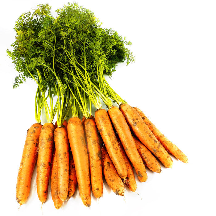 Carrot Negovia F1 Organic Seed