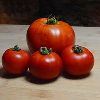 Tomato Red Racer F1 Seed