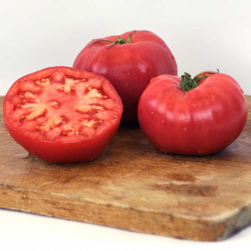 Tomato Damsel F1 Seed