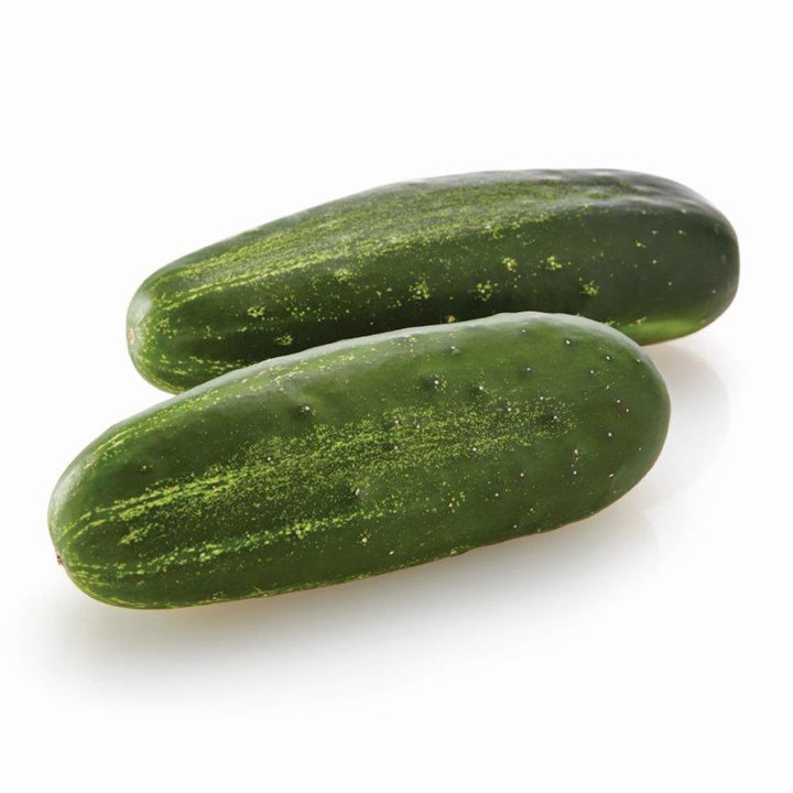 Slicer Cucumbers - SunFed®