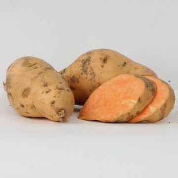 Sweet Potato Vardaman